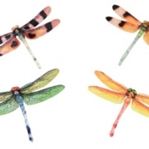 15-18_๑๙๐๓๒๖_0005