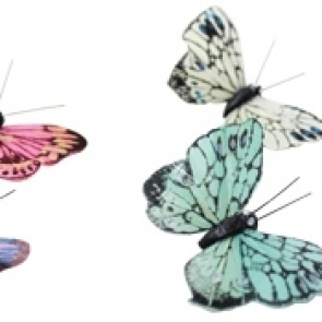 15-18_๑๙๐๓๒๖_0011