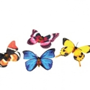 15-18_๑๙๐๓๒๖_0012