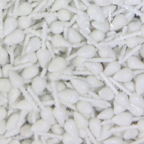 15-18_๑๙๐๓๒๖_0037