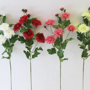 20190326_๑๙๐๔๐๒_0001