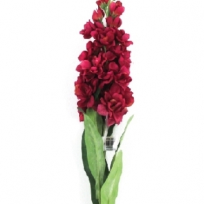 20190326_๑๙๐๔๐๒_0002