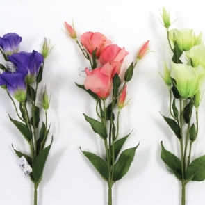 20190326_๑๙๐๔๐๒_0003