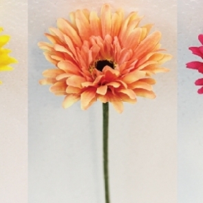 20190326_๑๙๐๔๐๒_0010