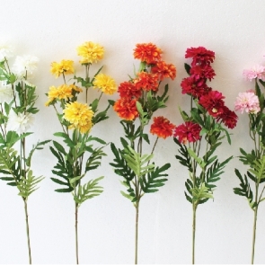 20190326_๑๙๐๔๐๒_0011