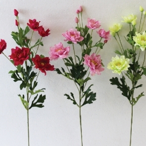 20190326_๑๙๐๔๐๒_0013