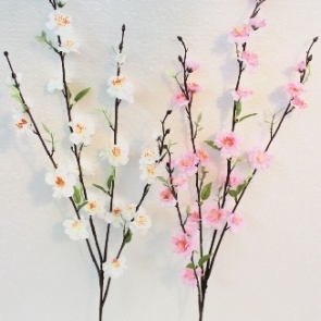 20190326_๑๙๐๔๐๒_0014
