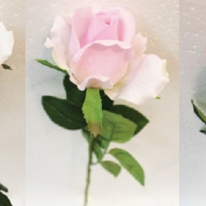 20190326_๑๙๐๔๐๒_0017