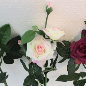 20190326_๑๙๐๔๐๒_0018