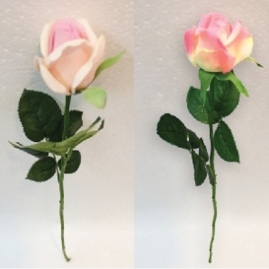 20190326_๑๙๐๔๐๒_0019