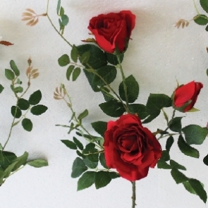 20190326_๑๙๐๔๐๒_0021