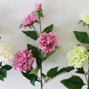 21-26_๑๙๐๓๒๖_0061