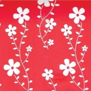 ๑๙๐๓๒๖_0013