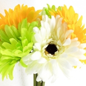 21-26_๑๙๐๓๒๖_0032