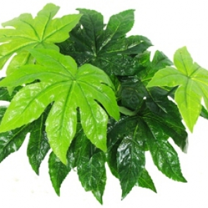 21-26_๑๙๐๓๒๖_0035