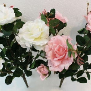 21-26_๑๙๐๓๒๖_0068